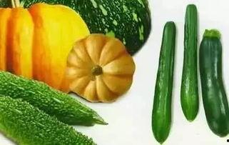 樟树免费吃瓜,樟树邀您共享夏日清凉  第3张